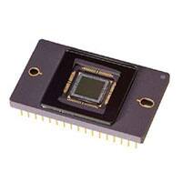KAI-04050-CBA-JB-B2-